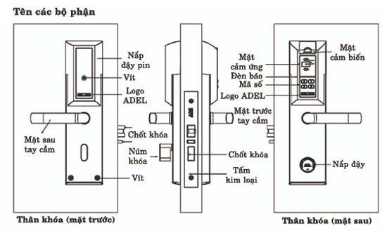 Khóa cửa vân tay ADEL 4920 (4in1)